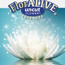 FlorAlive